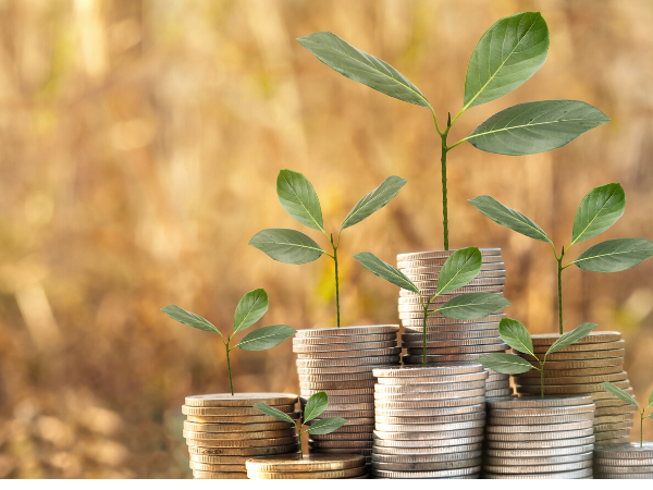 Diseno sin titulo 23