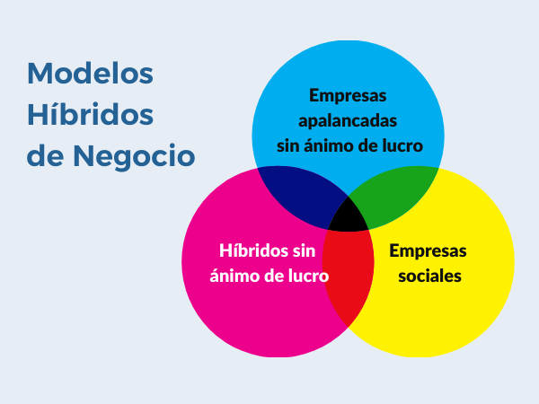 Imagenes WEB y NL 2020 5