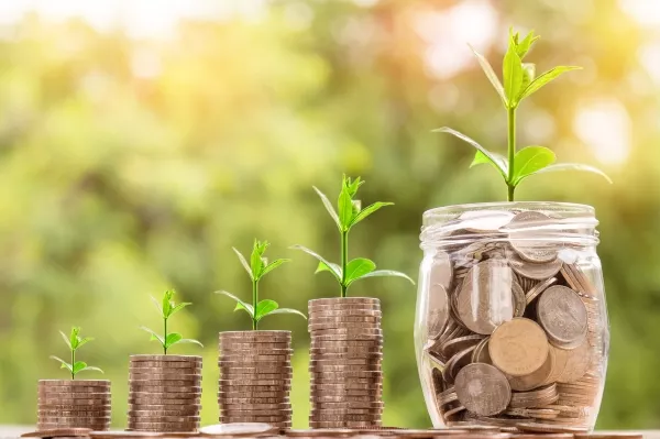Master in Sustainable Finance Management