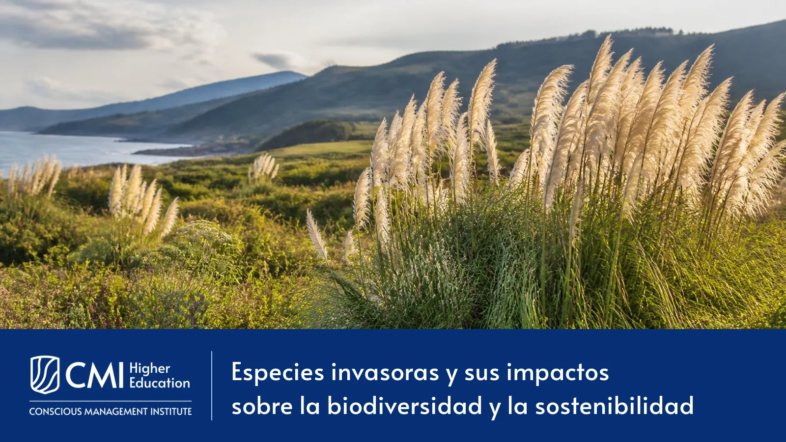 Especies invasoras y sus impactos sobre la biodiversidad y la sostenibilidad