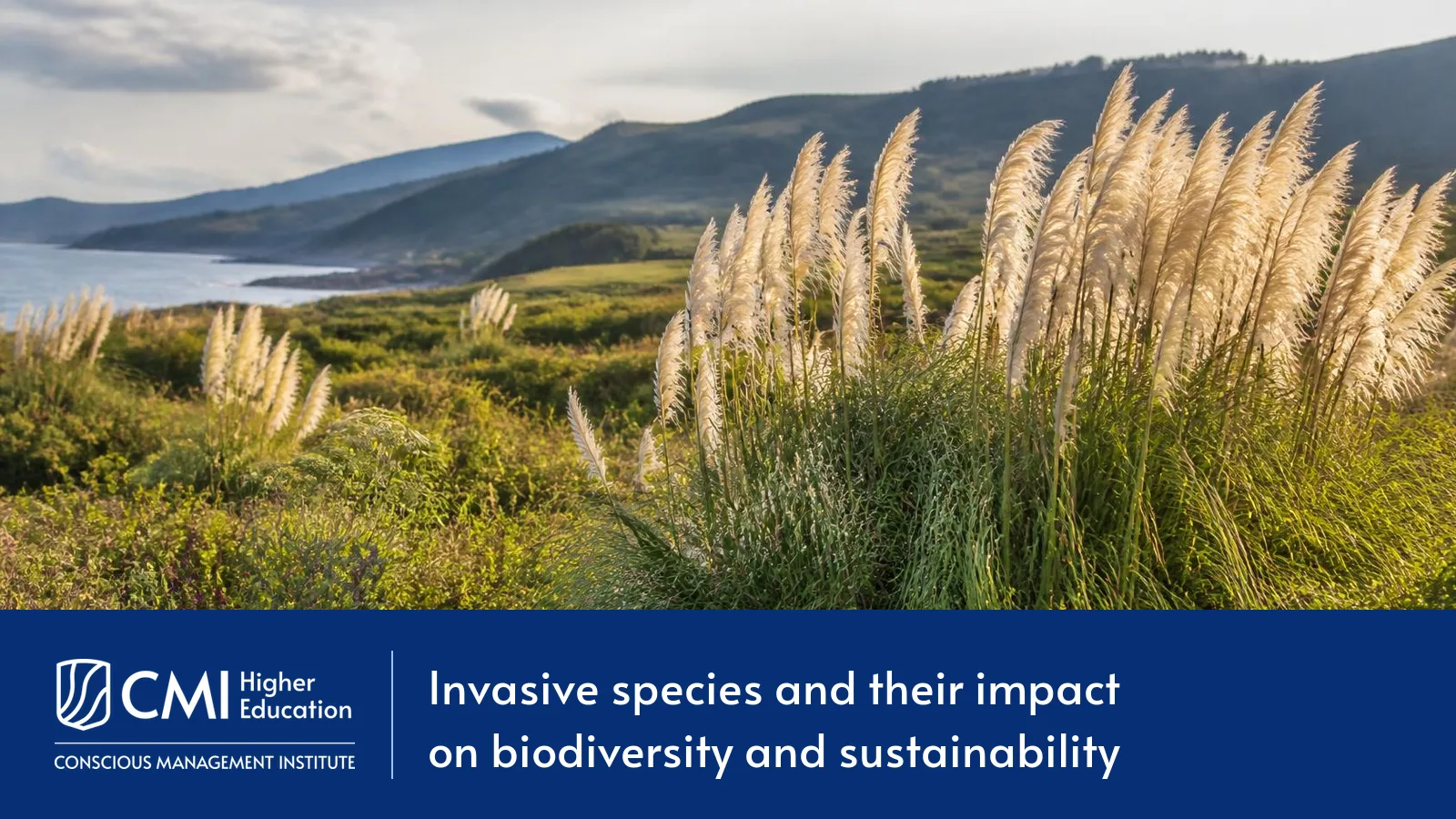 Invasive species and their impact on biodiversity and sustainability